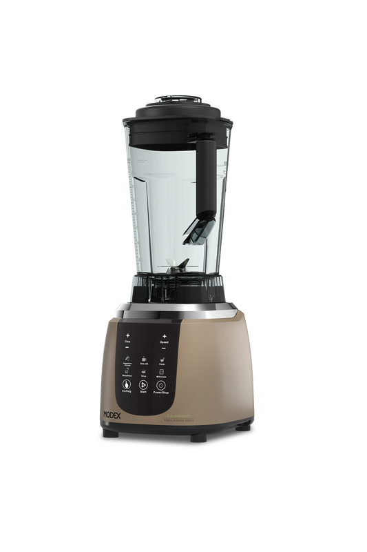 Bl940 Blender