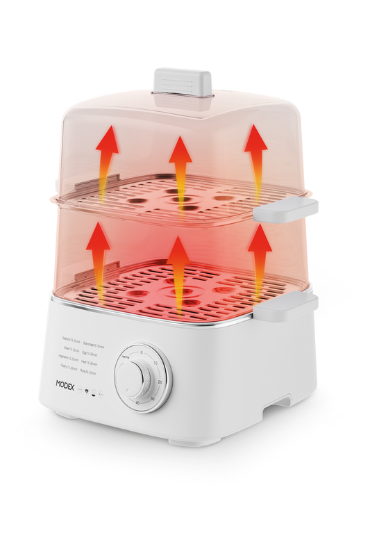 FS300 Food Steamer