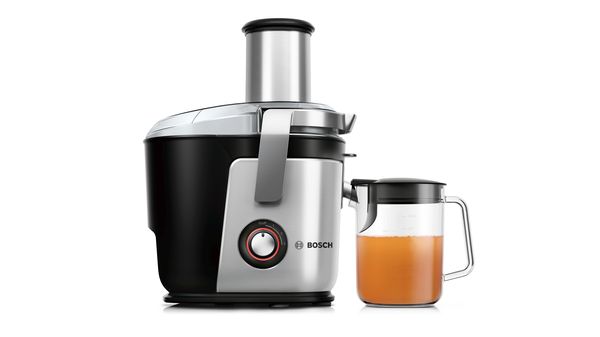 Black Vitajuice Fruit Fruit from Bush from Bush