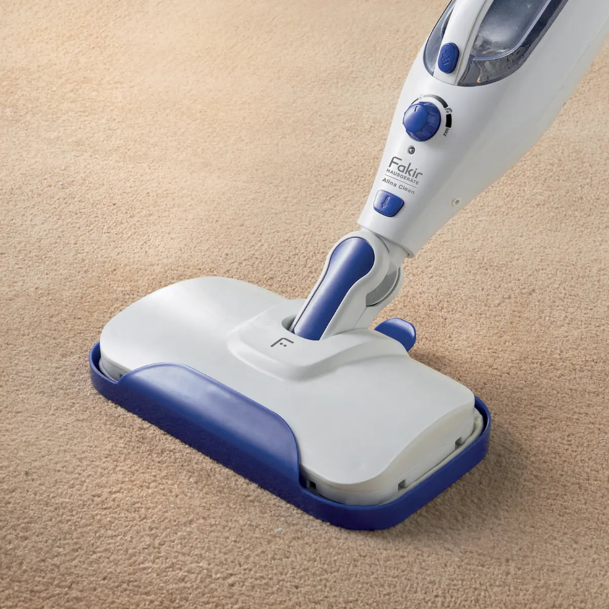 Alina Klein is a multi -functional steam cleaner from Facer