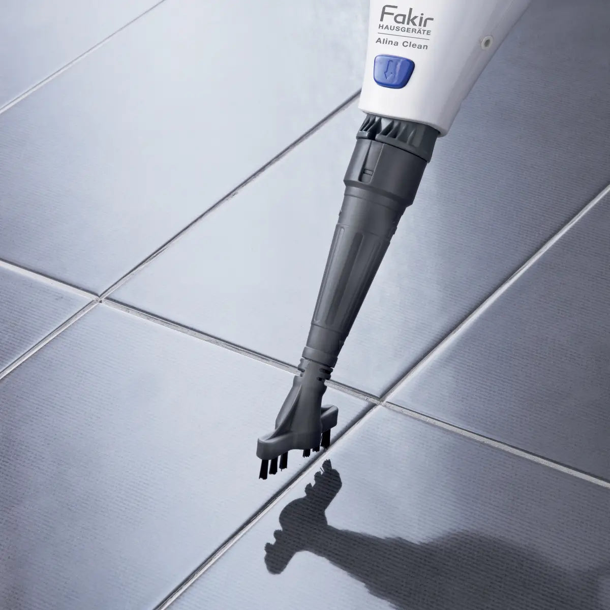 Alina Klein is a multi -functional steam cleaner from Facer