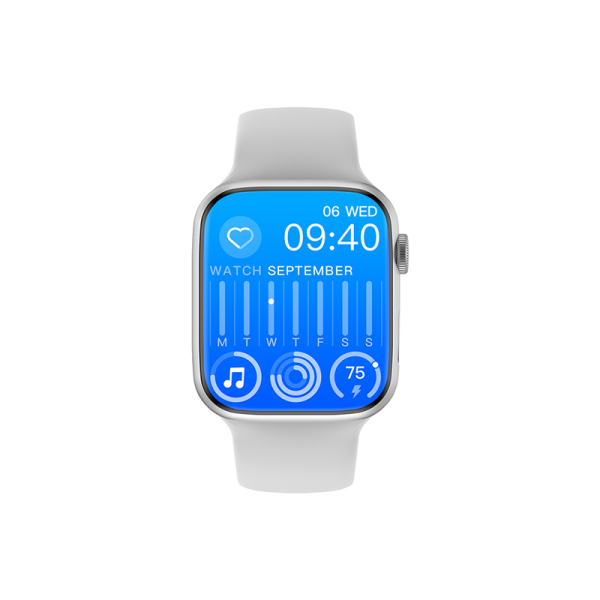 Wiwu Sw01 Pro Smart Series Series 8 - Gray