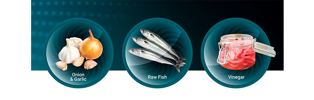 ثلاجة هيتاشي صغيرة HR1S5188