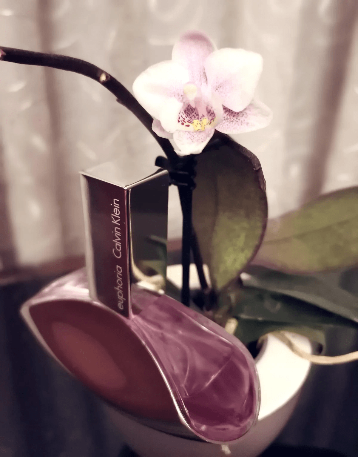 Calvin Klein Euphoria EDP كالفن كلاين ايفوريا للنساء - #موغامبو ستور#