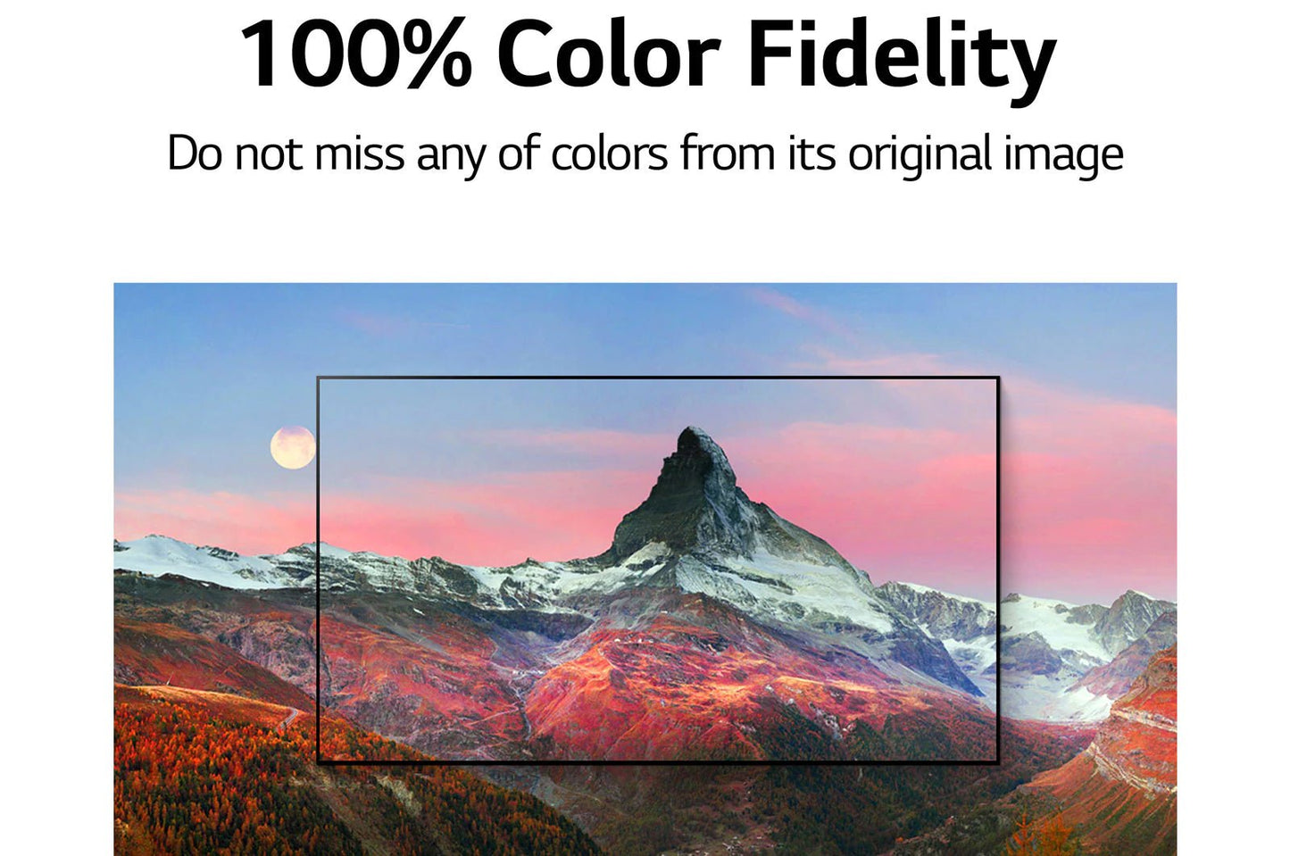 LG OLED TV 65 OLED65A1PVA - #موغامبو ستور#