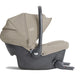 JOIE Sprint Sandstone - التفاصيل