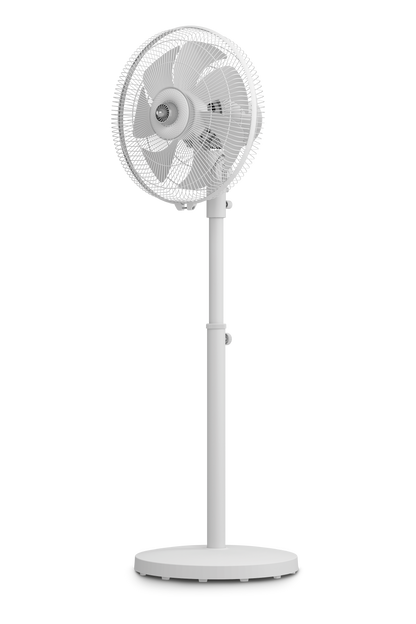 Fa1212 Stand Fan