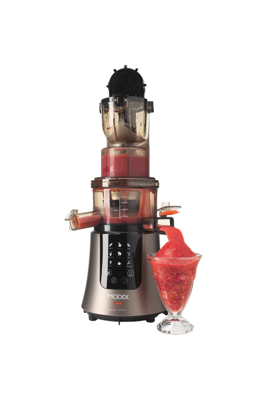Sj595 Slow Juicer