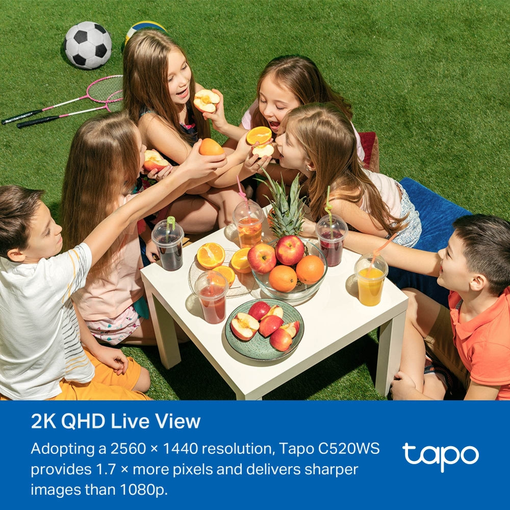 Outdoor Pan-Tilt Security Wi-Fi Camera Tapo C520WS - كاميرا Wi-Fi للأمن الخارجي مع دوران وإمالة