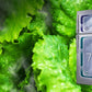 Samsung Top-Mount Freezer Refrigerator, RT50K6330WW/LV ثلاجة المجمد العلوي - #موغامبو ستور#
